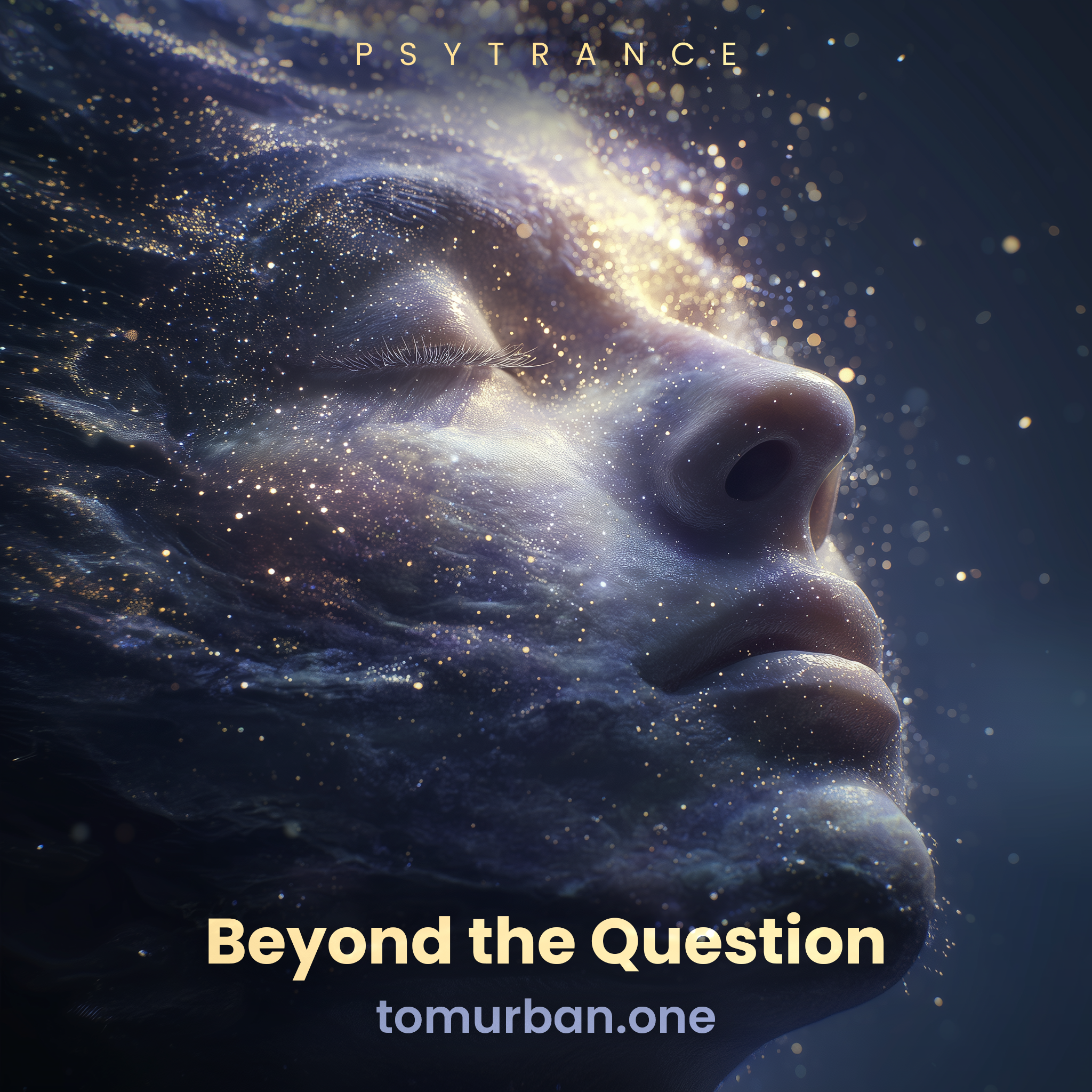 Beyond the Question